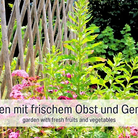 Mayischhof - Und Ruhe In Der Eifel דירה