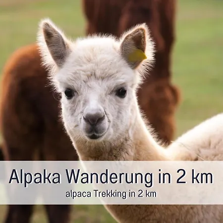 Mayischhof - Und Ruhe In Der Eifel Appartement