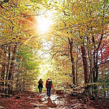 Mayischhof - Und Ruhe In Der Eifel Lauperath