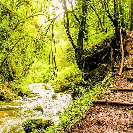 Mayischhof - Und Ruhe In Der Eifel Lauperath
