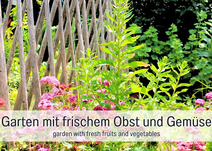 Mayischhof - Und Ruhe In Der Eifel Apartment