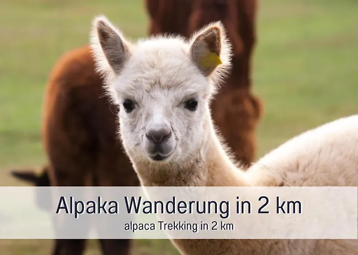 Mayischhof - Und Ruhe In Der Eifel Apartment